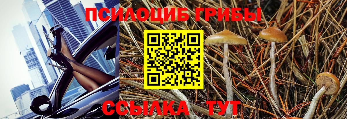 Псилоцибиновые грибы мухоморы  Псилоцибиновые грибы Magic Shrooms  Саяногорск  Вход с VPN 