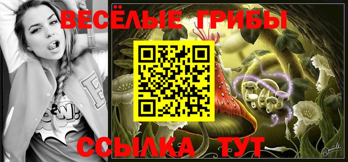 Галлюциногенные грибы мухоморы Саяногорск